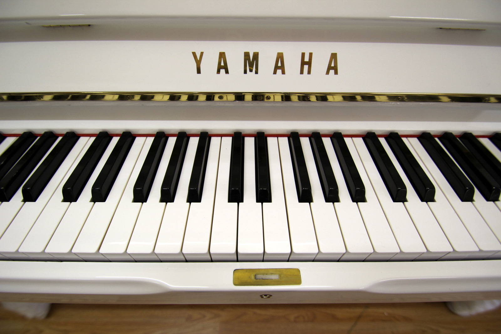 yamaha 1.jpg